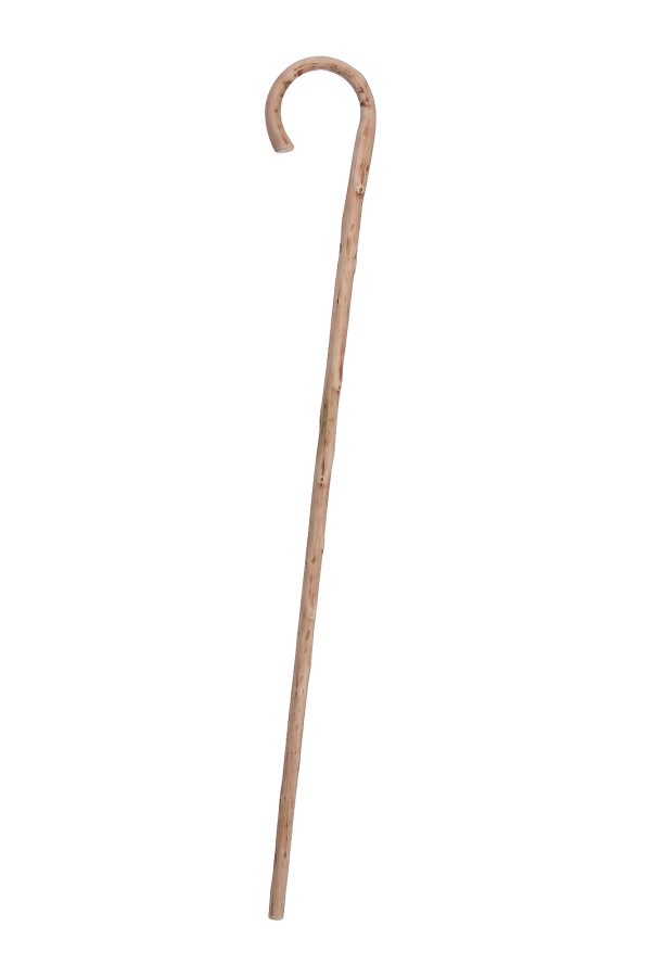 Walking stick