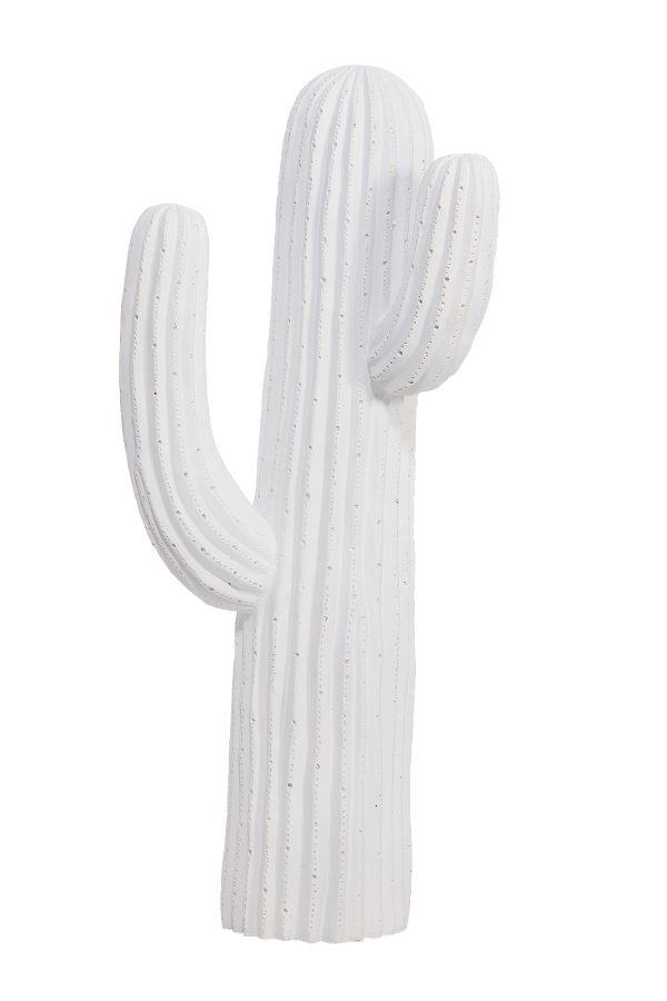Decorative cactus
