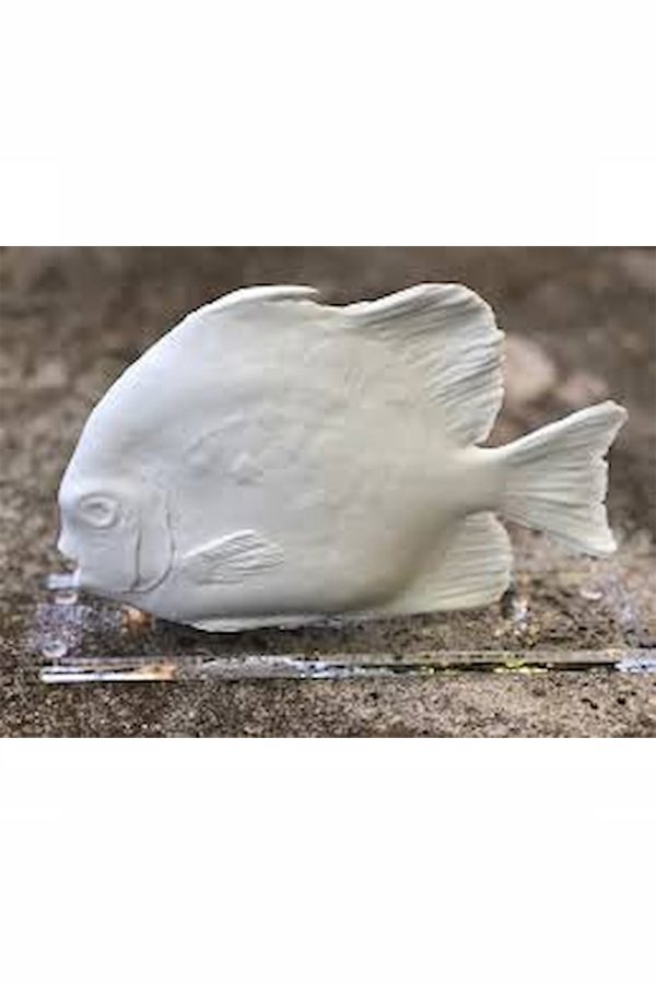 Christina Morali Fish Plexi Plake