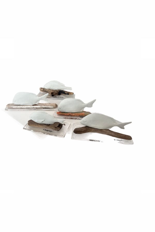 Christina Morali Fish Plexi Glass