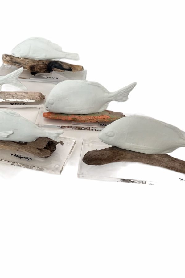 Christina Morali Fish Plexi Glass