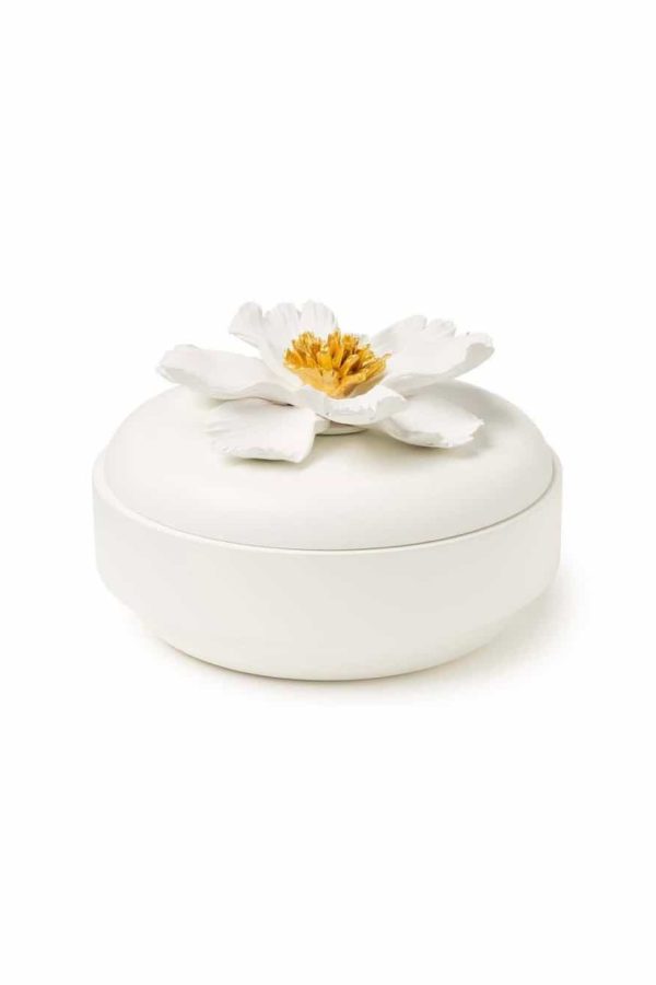 Abhika Flat Box Peony H10 D15 White