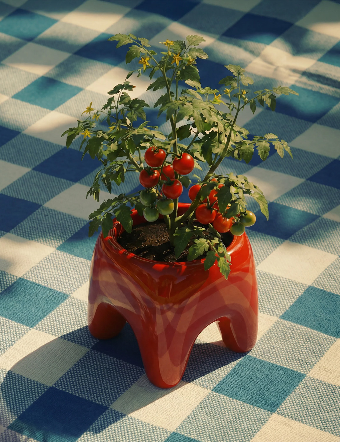 HOUBI Buddy Planter in Poppy Red - Image 4
