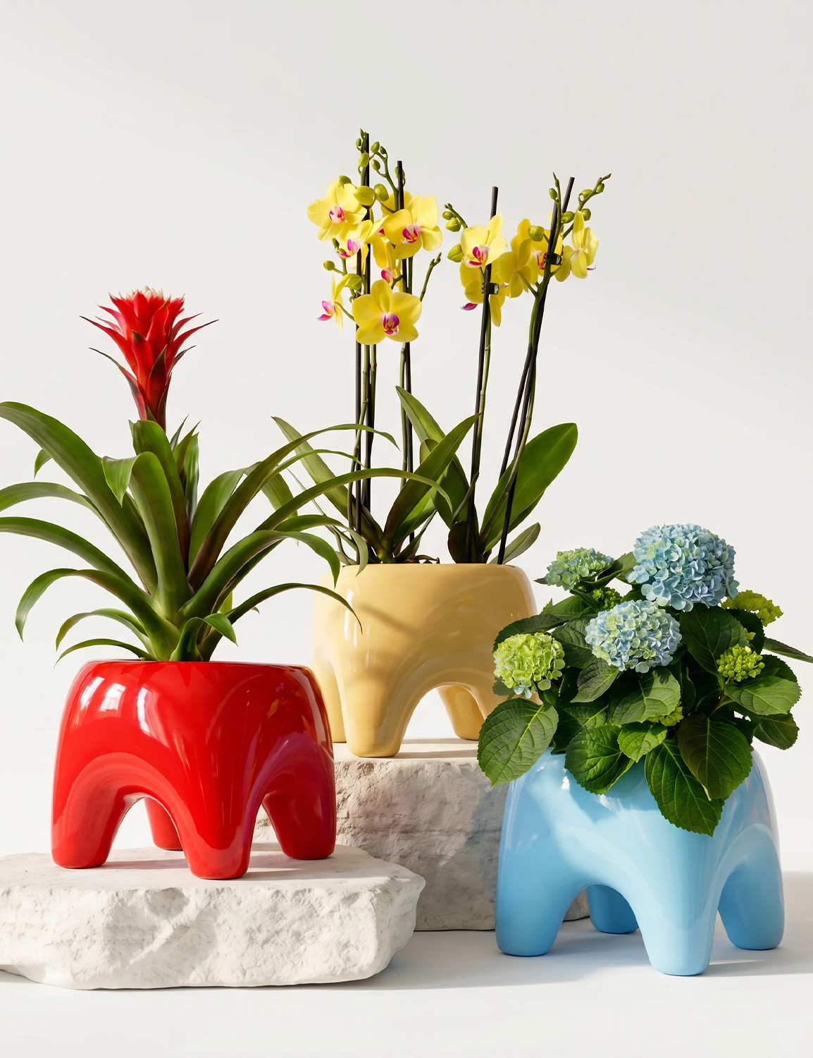 HOUBI Buddy Planter in Poppy Red - Image 5