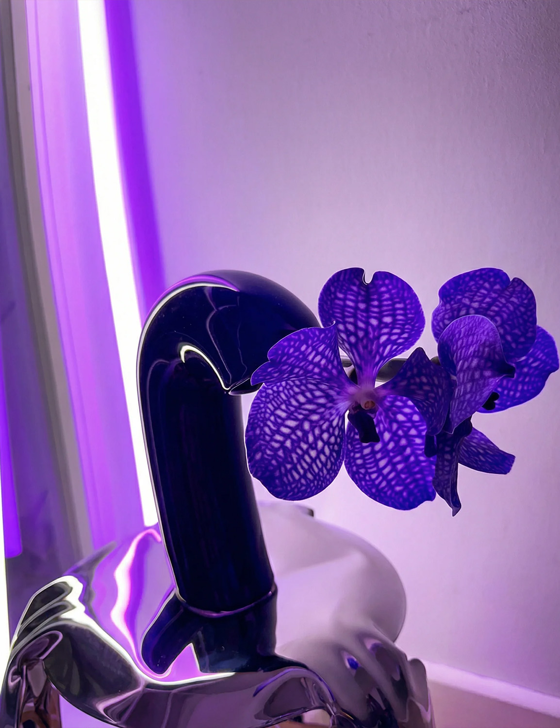 HOUBI Vita Vase in Cobalt Blue - Image 2